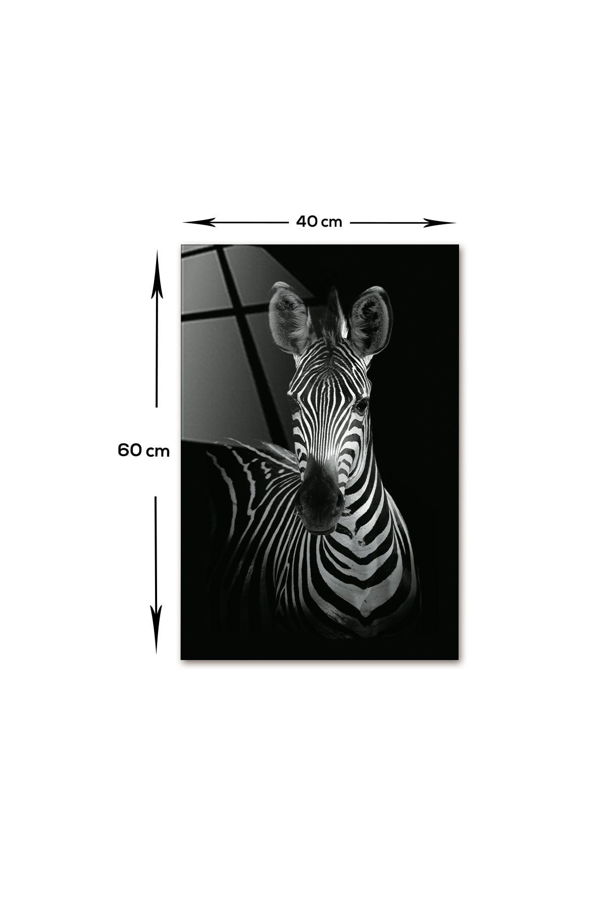 Hayvanlar | Cam Tablo | Zebra | 40cm X 60cm