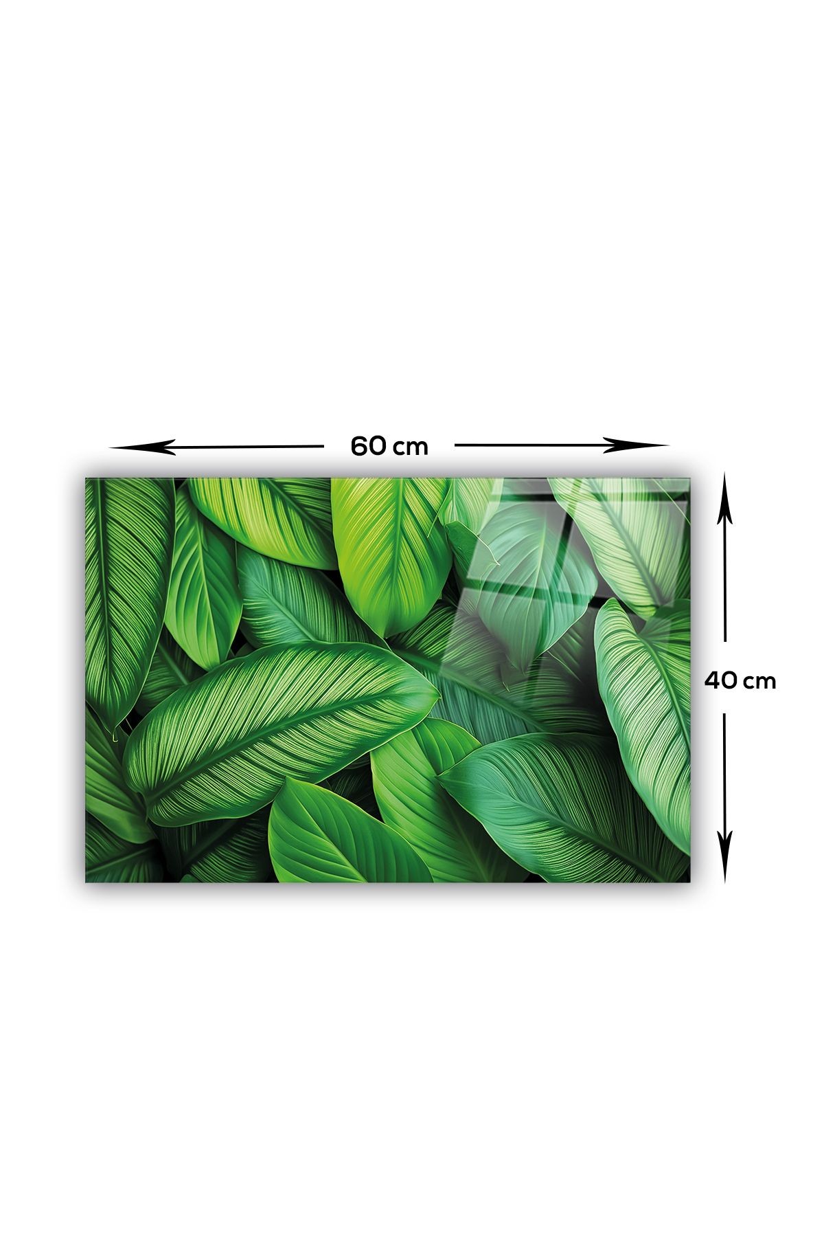 Cam Ocak Arkası Koruyucu | Yaprak Festivali | 40cm X 60cm