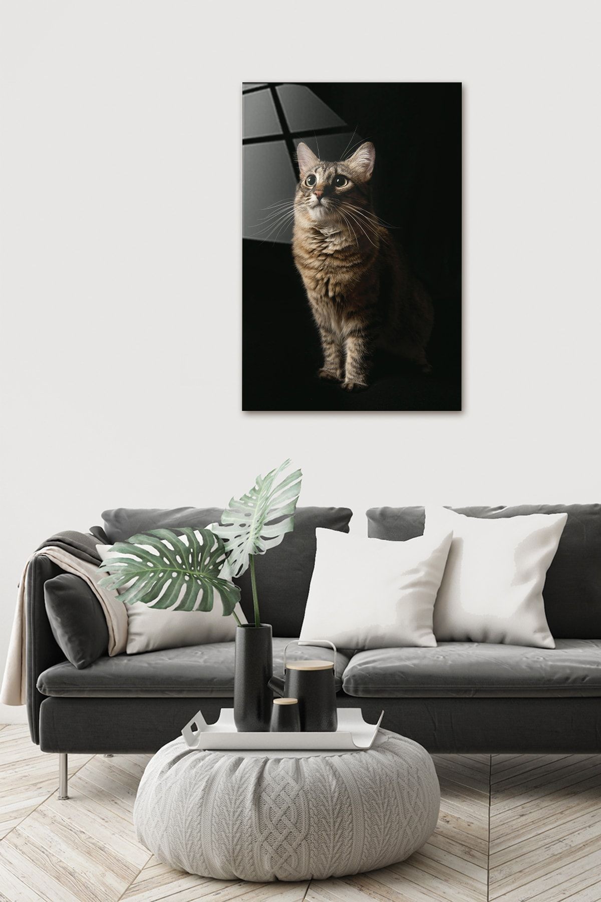 Hayvanlar | Cam Tablo | Kedi | 40cm X 60cm