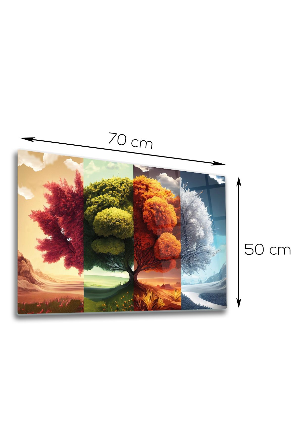 Cam Tablo | Four Season - İklim Ağacı | 50cm x 70cm