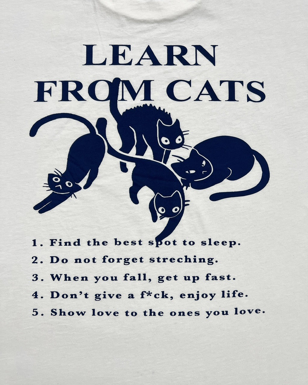 Learn From Cats T Shirt (LMT3)