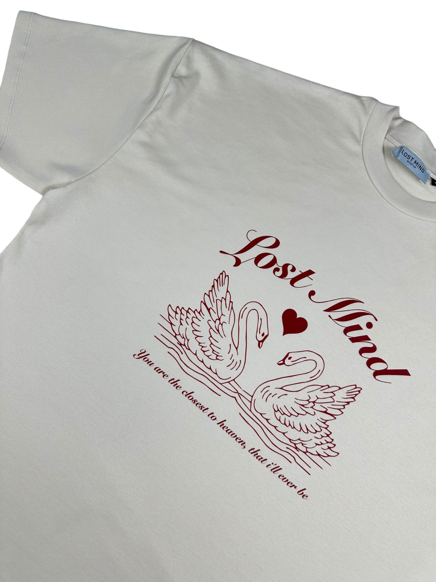 Taste of Love Oversize T Shirt (LMT82)