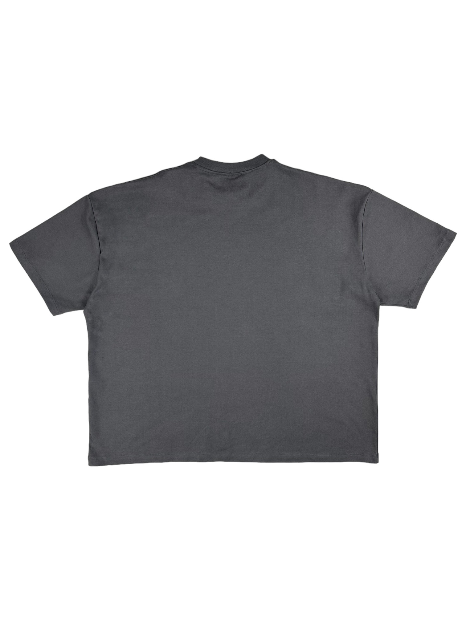 Tudo Passa Oversize T Shirt (LMT81)