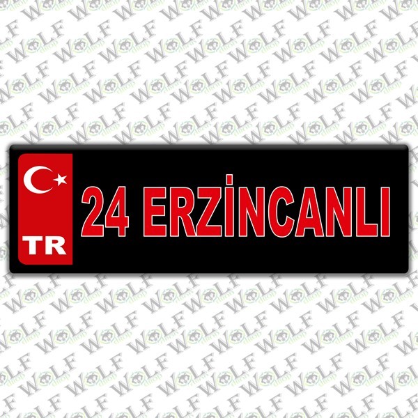Pİ101