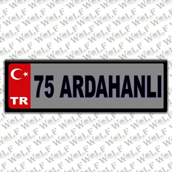 Pİ306