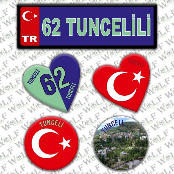 Pİ253