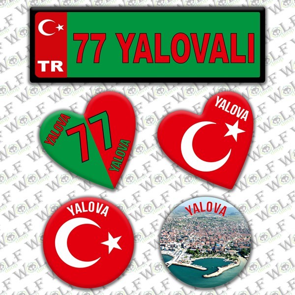 Pİ313