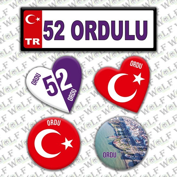 Pİ213