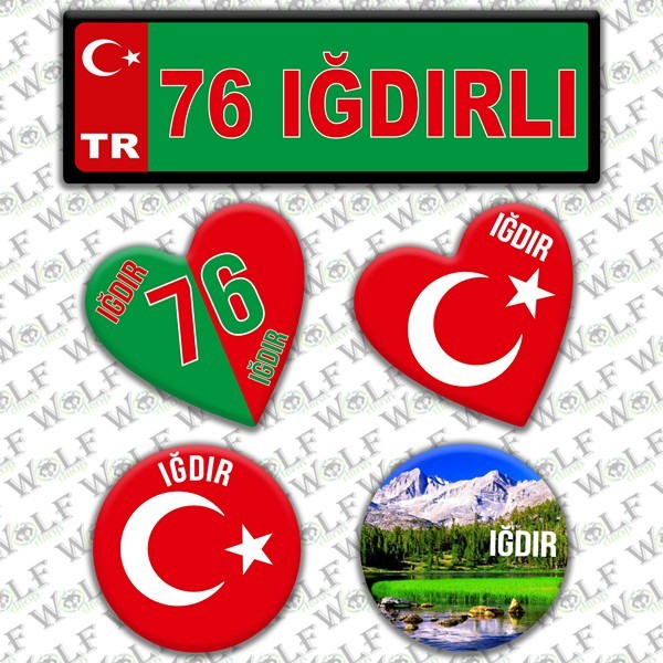 Pİ309