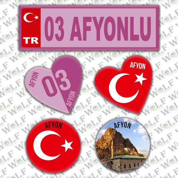 Pİ015