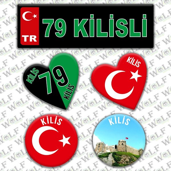 Pİ321