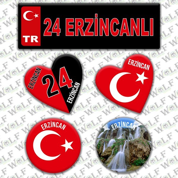Pİ100