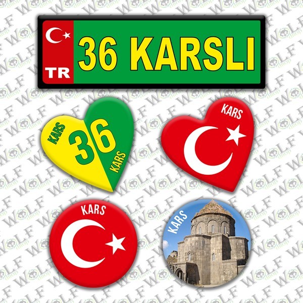 Pİ155