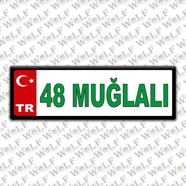 Pİ196