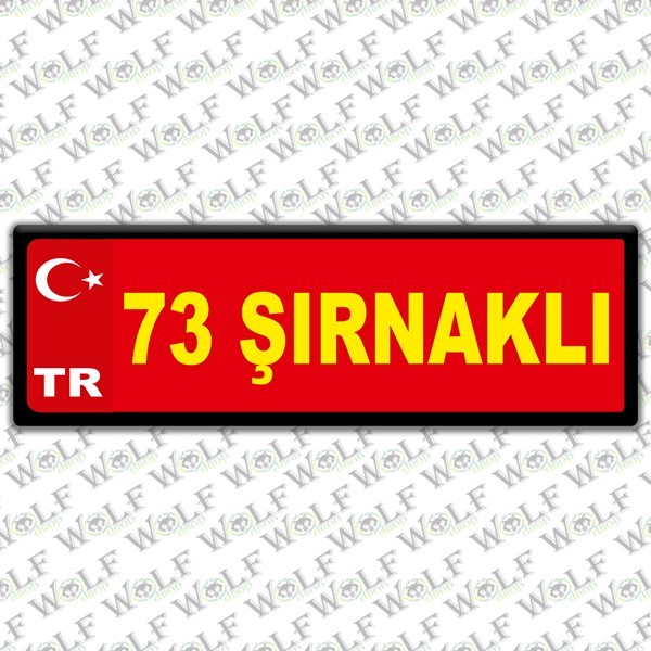 Pİ298