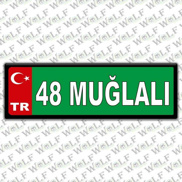 Pİ198