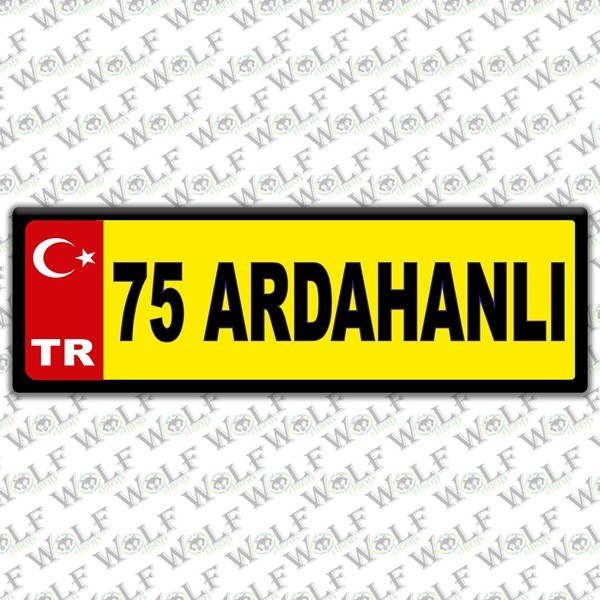 Pİ304