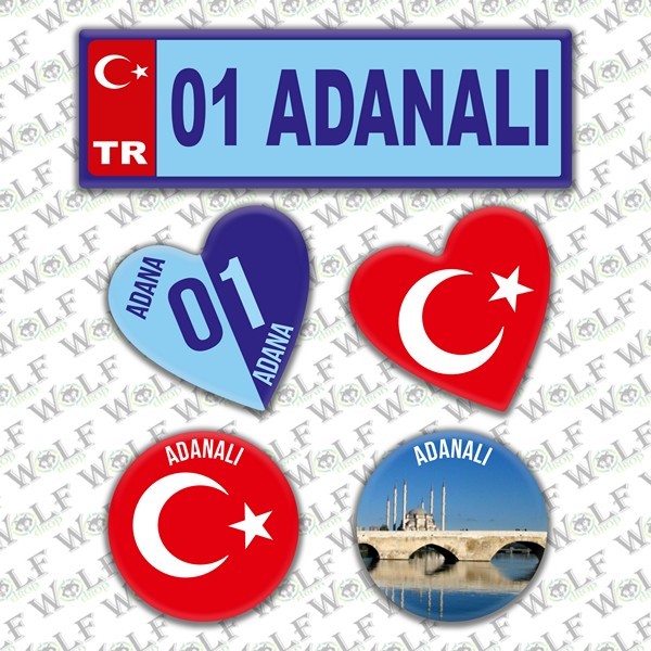 Pİ003
