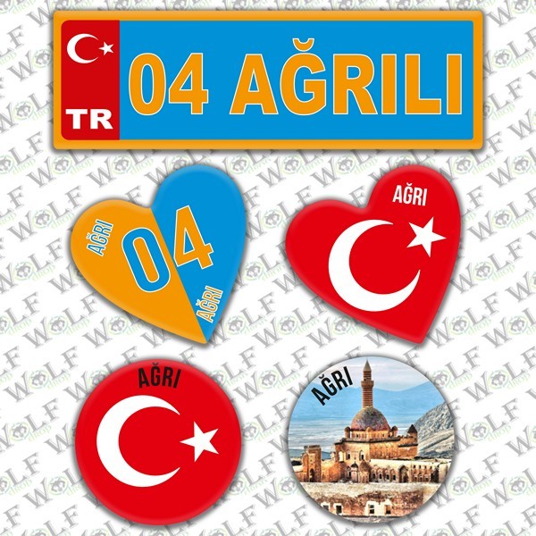 Pİ019
