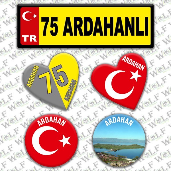 Pİ303
