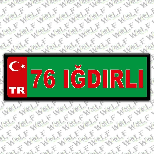 Pİ310