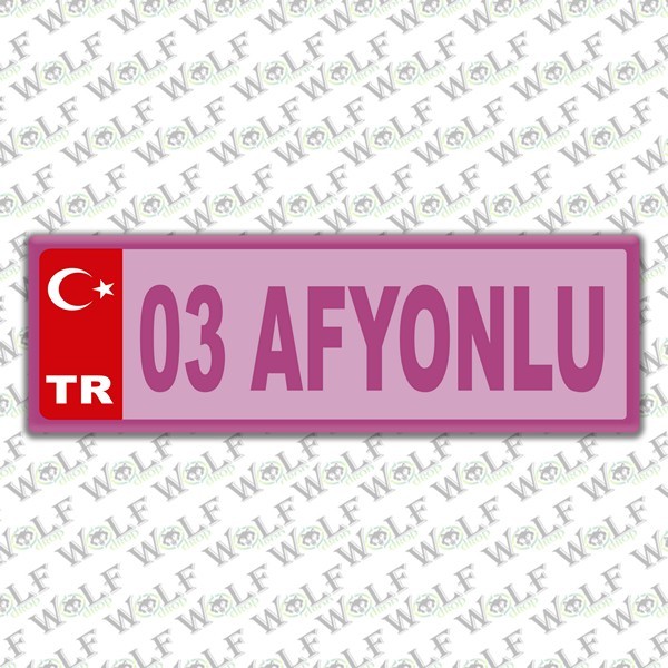 Pİ016