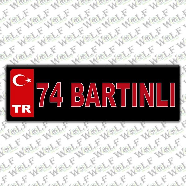 Pİ300