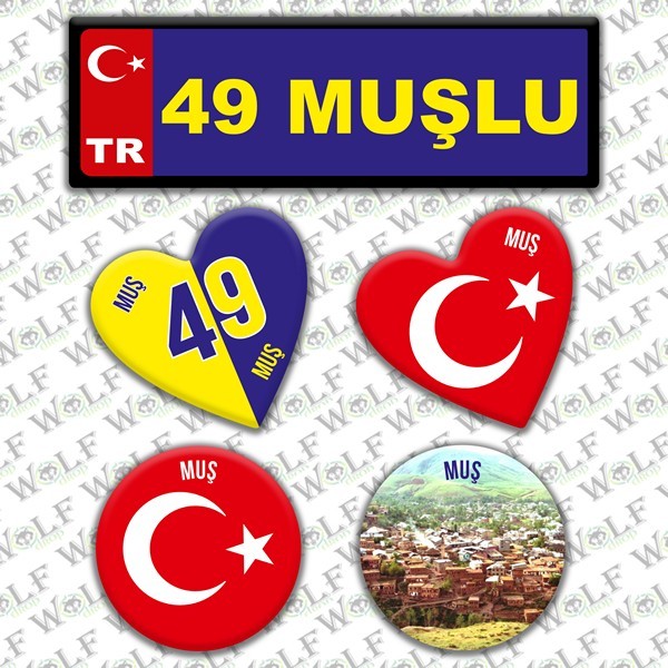 Pİ201