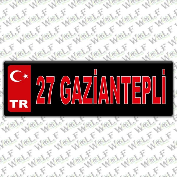 Pİ113
