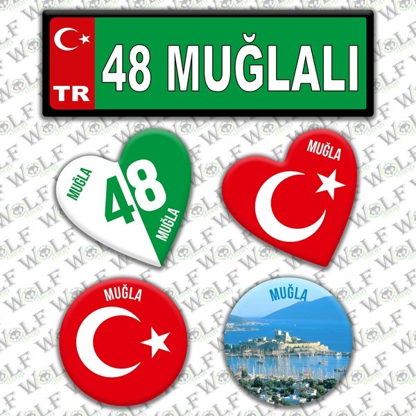 Pİ197