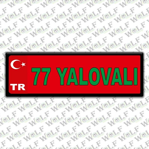 Pİ312
