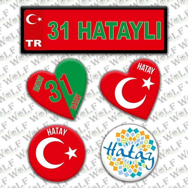 Pİ131