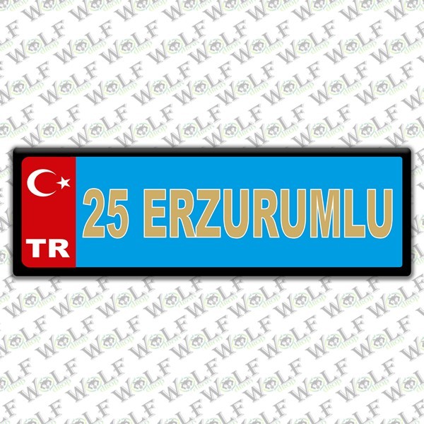 Pİ105