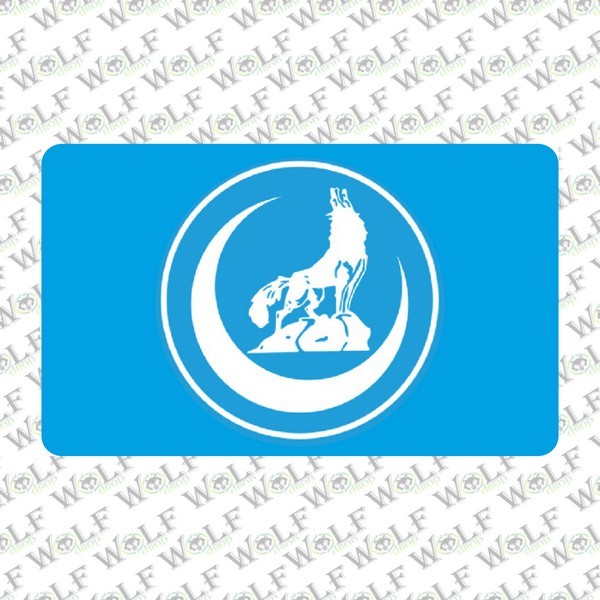 CG Uyumlu Far Sticker 029