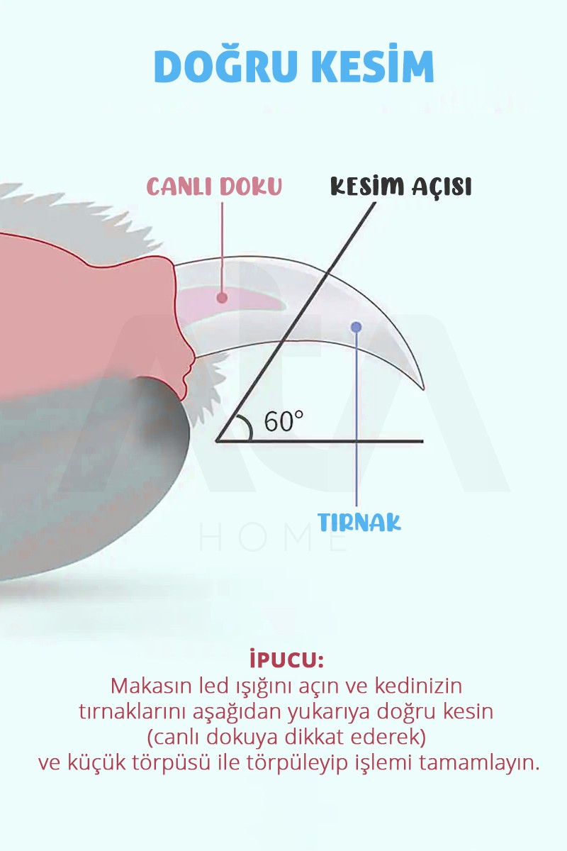 Işıklı Kedi Köpek Tırnak Makası Pet Evcil Hayvanları Için Korumalı Led'li Törpülü Tırnak Makası