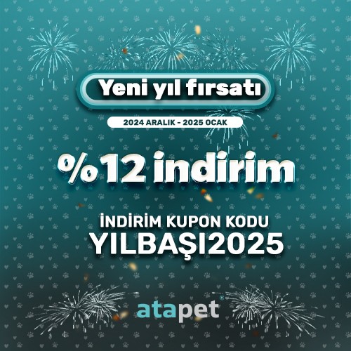 Yeni yıl fırsatı