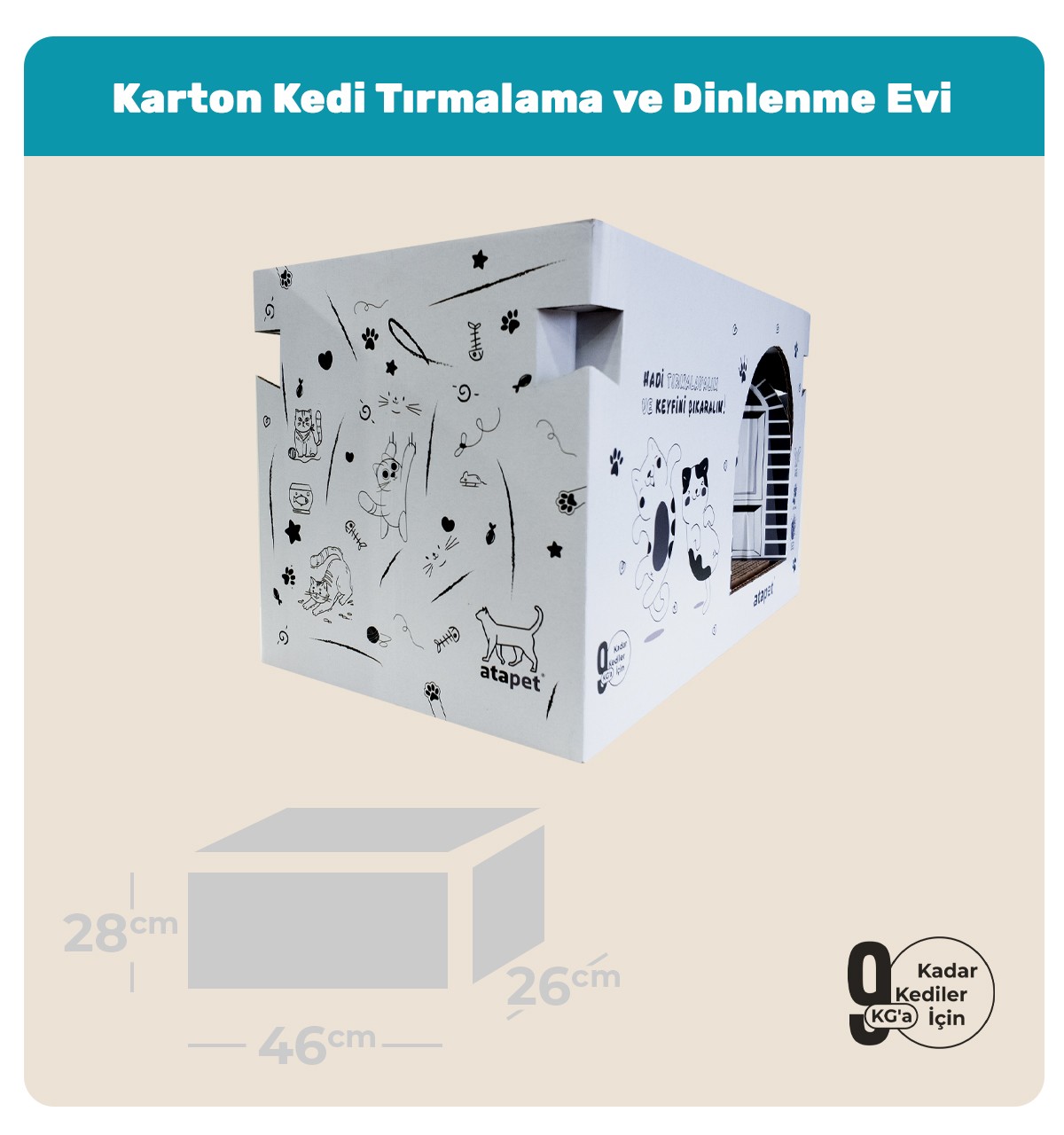 Karton Kedi Tırmalama ve Dinlenme Evi 