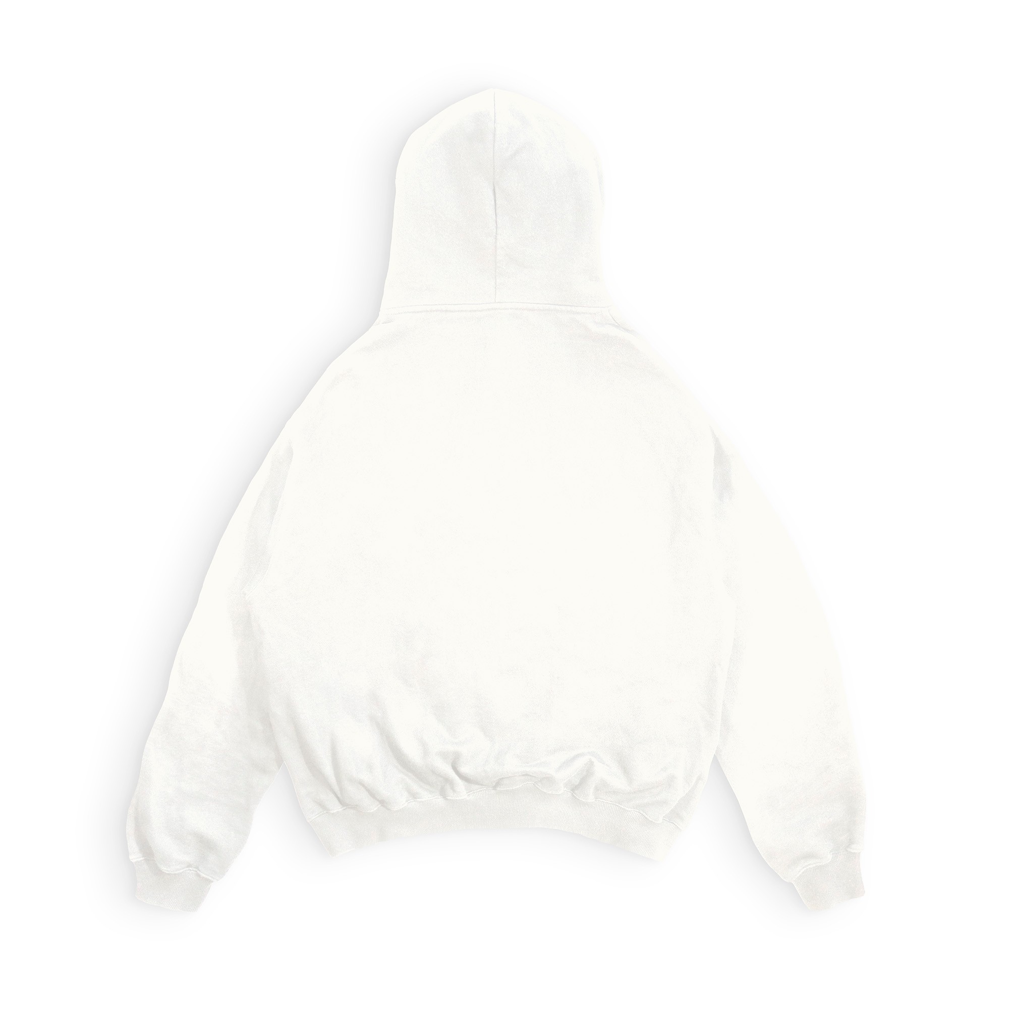 Trust the Process | Hoodie