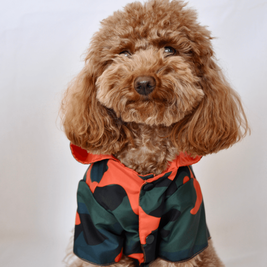 Nimbus | Dog Raincoat - Orange