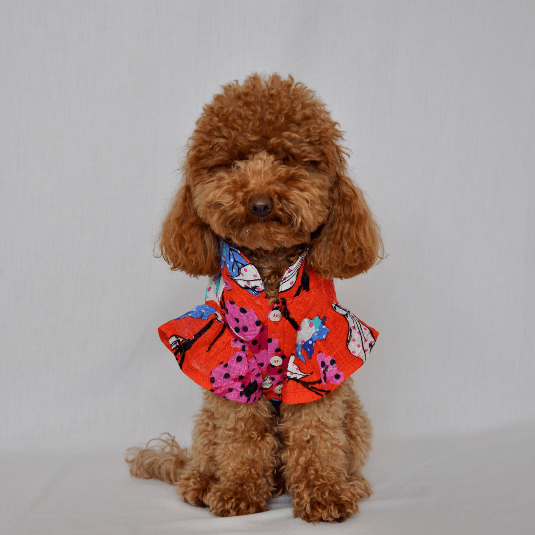 Blossom | Floral Dog Shirt - Limited Edition - Red