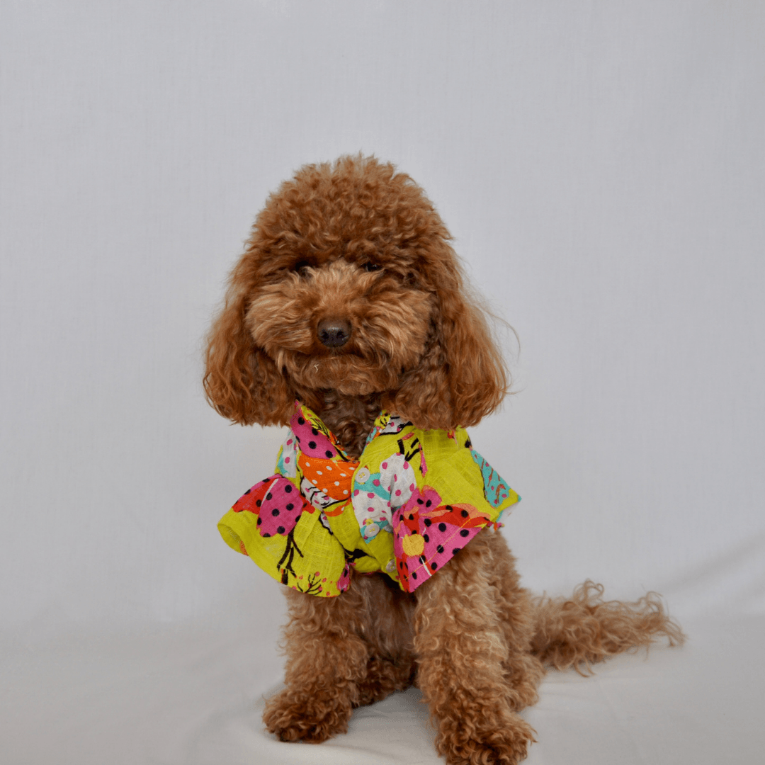 Blossom | Floral Dog Shirt - Limited Edition - Yellow