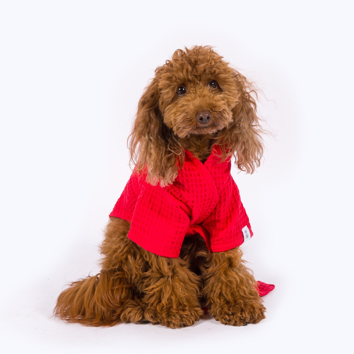 Pacific | Waffle-Textured Dog Bathrobe - Fuchsia Red