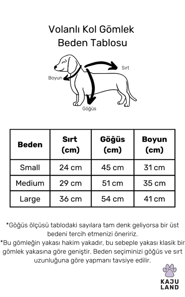 BİRLİKTE AL! "Volanlı Kol Gömlek + Papyon"