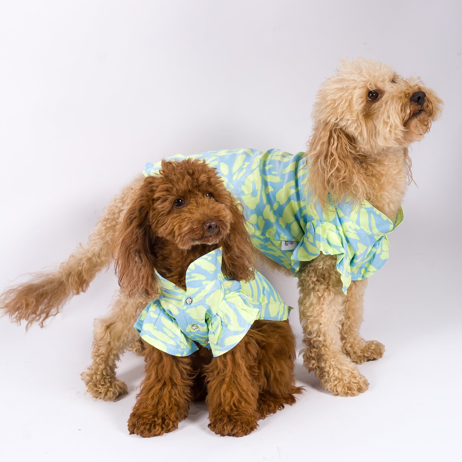 Pixie Green Jewelled Button | Dog Shirt