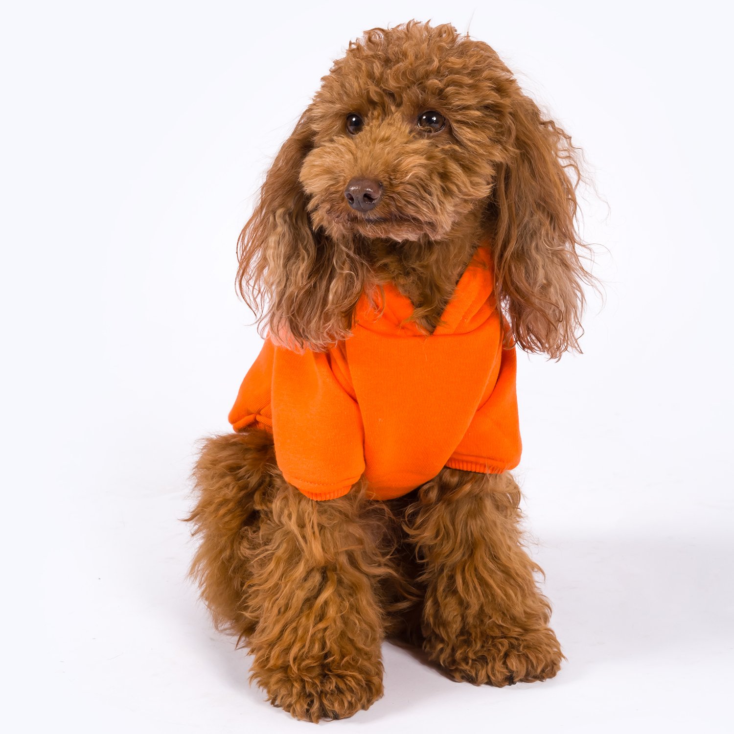 Maura | Dog Hoodie - Orange