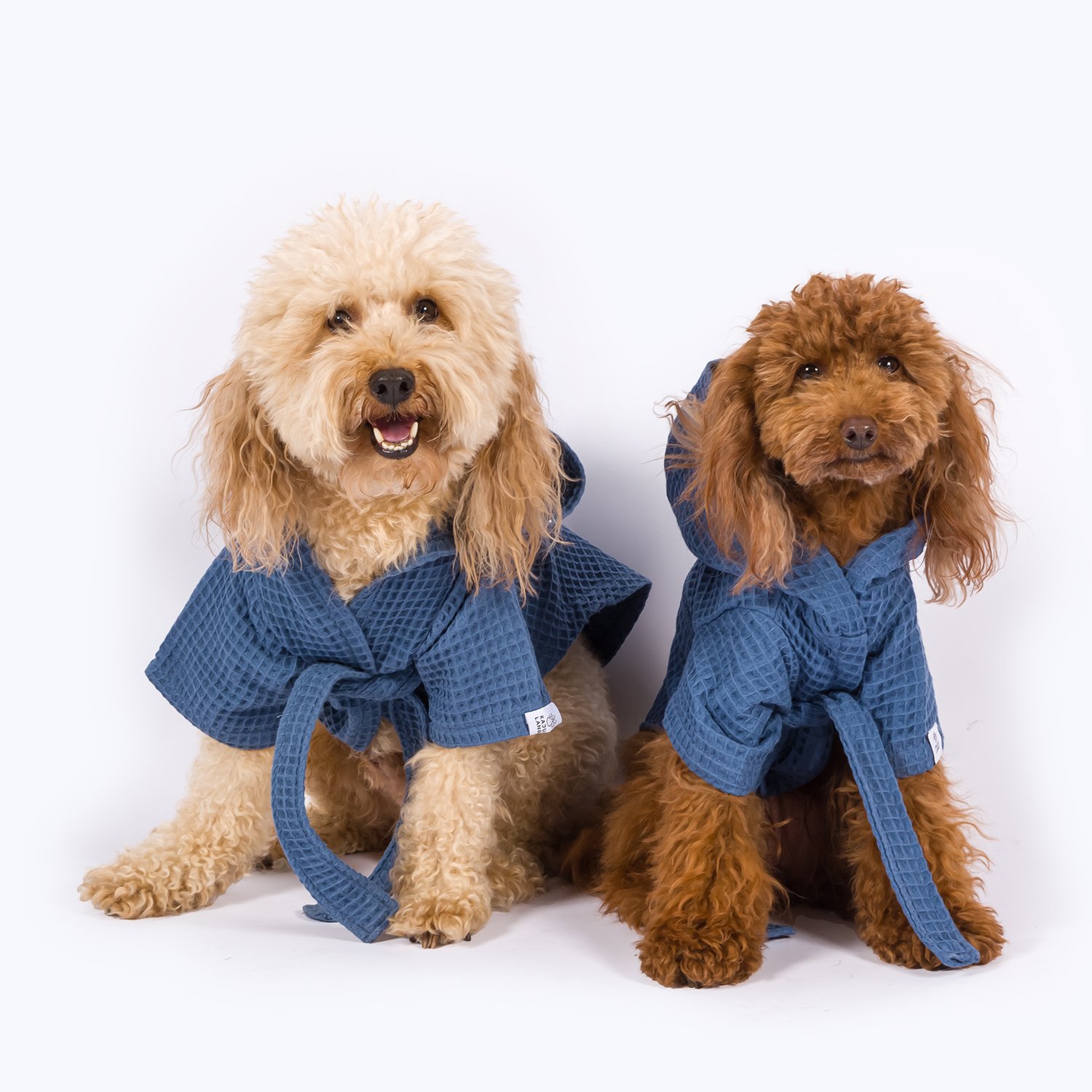 Pacific | Waffle-Textured Dog Bathrobe - Blue