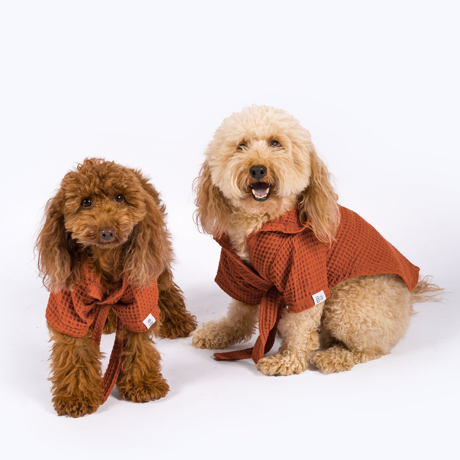 Pacific | Waffle-Textured Dog Bathrobe - Brick-colored