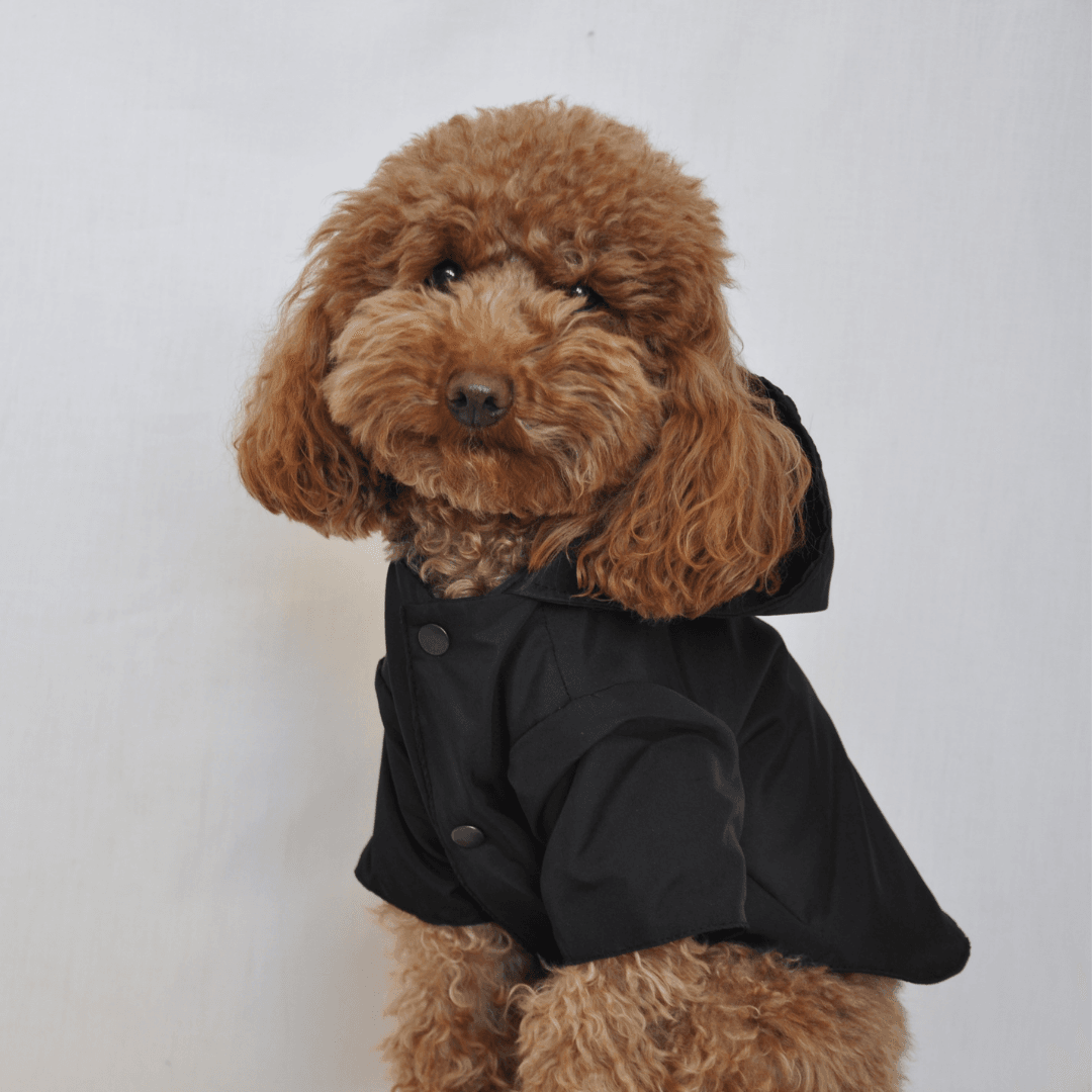 Nimbus | Dog Raincoat - Black