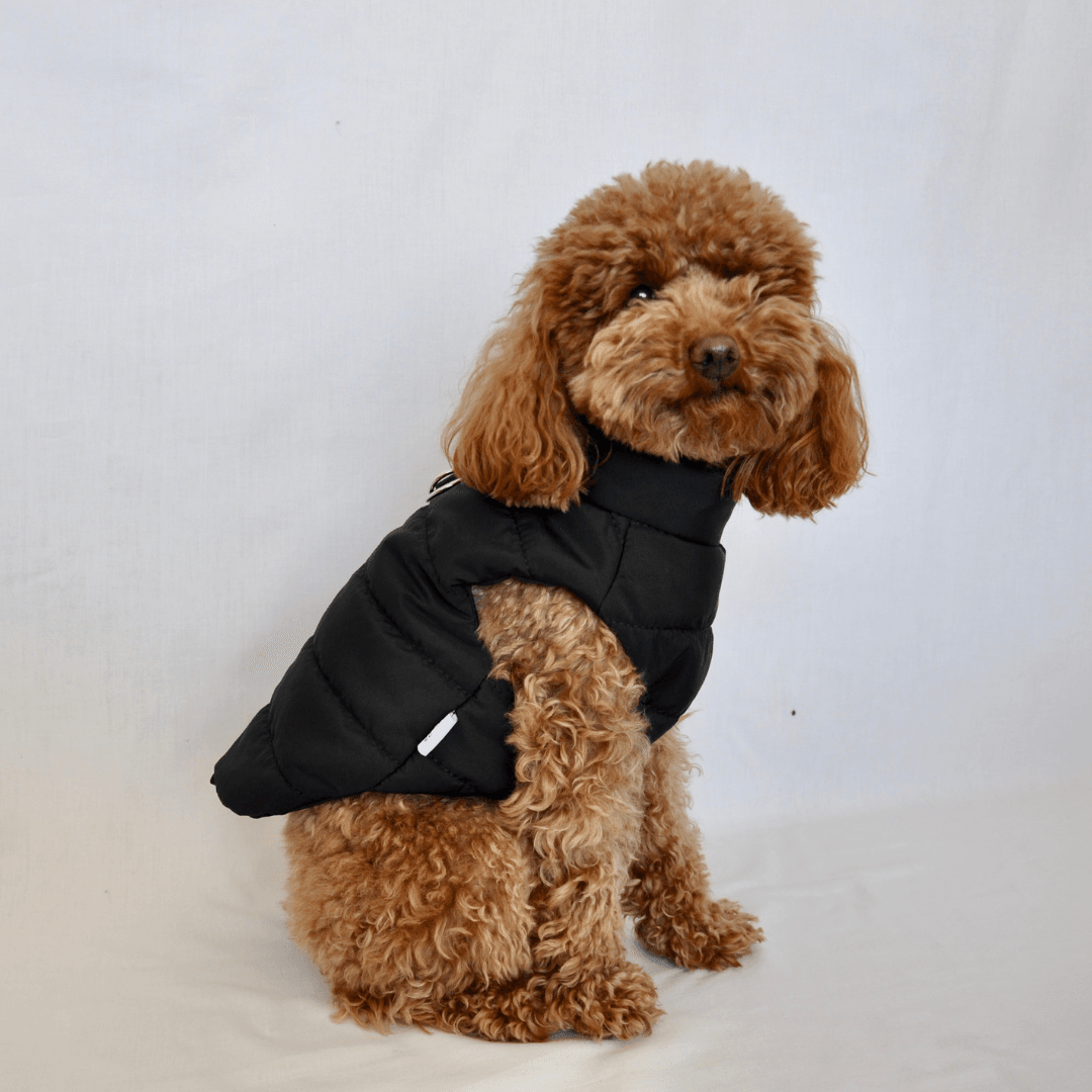 Puffer & Cool | Black Puffer Dog Vest