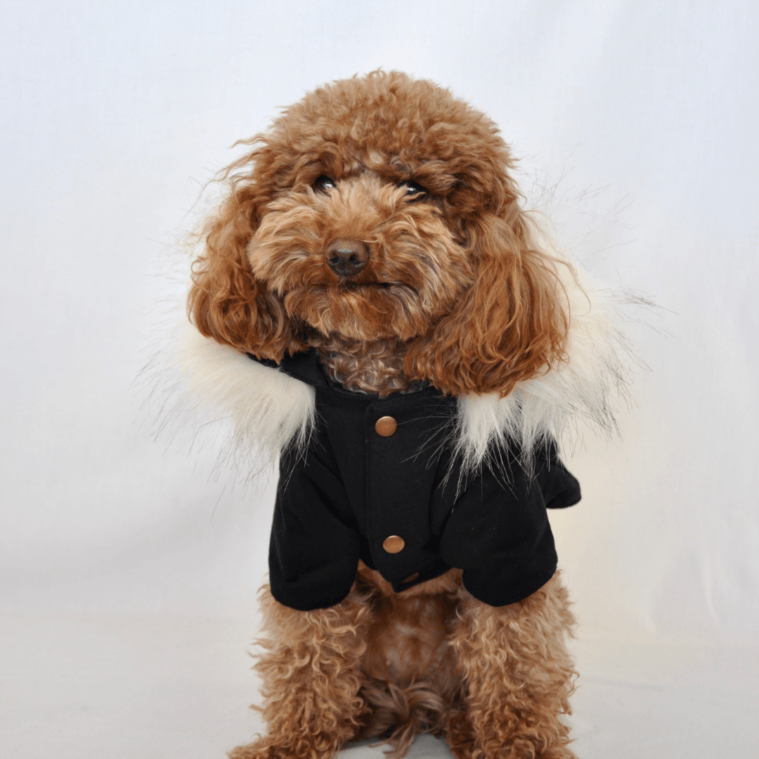 Got Style! | Furry Hooded Dog Coat - Black